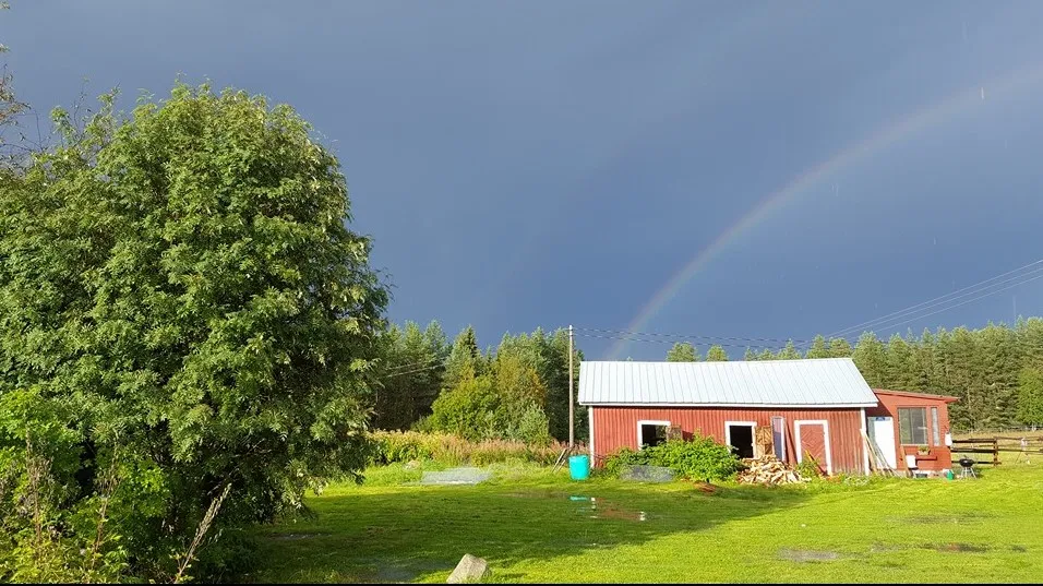 maalaispysakki-arola-kuusamo-6hpwn