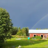 maalaispysakki-arola-kuusamo-6hpwn