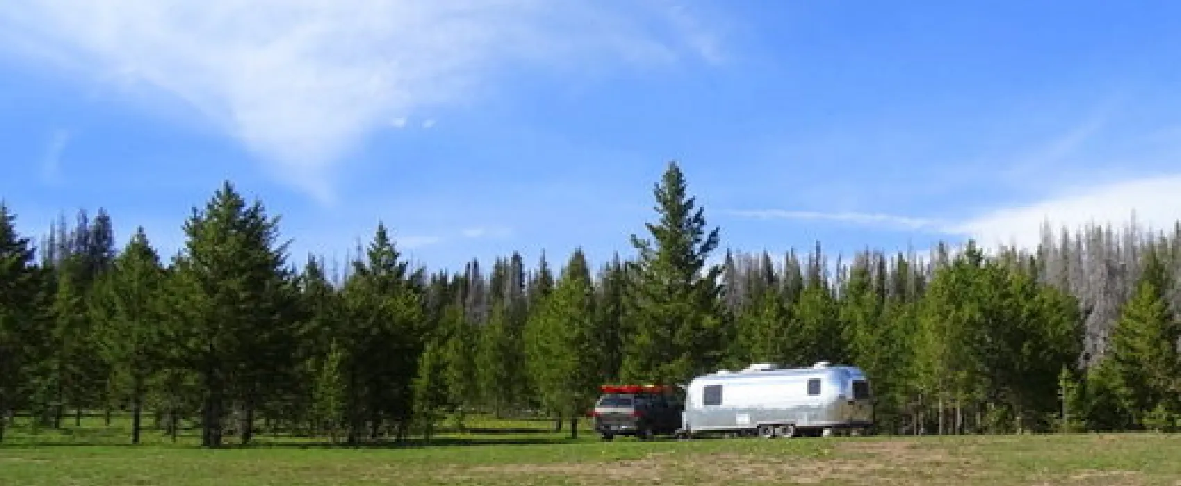 Rabbit Ears Pass West Dispersed Camping
