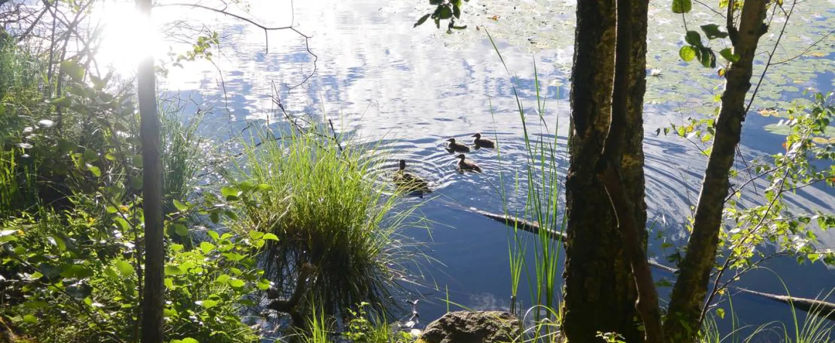 Ängby Camping