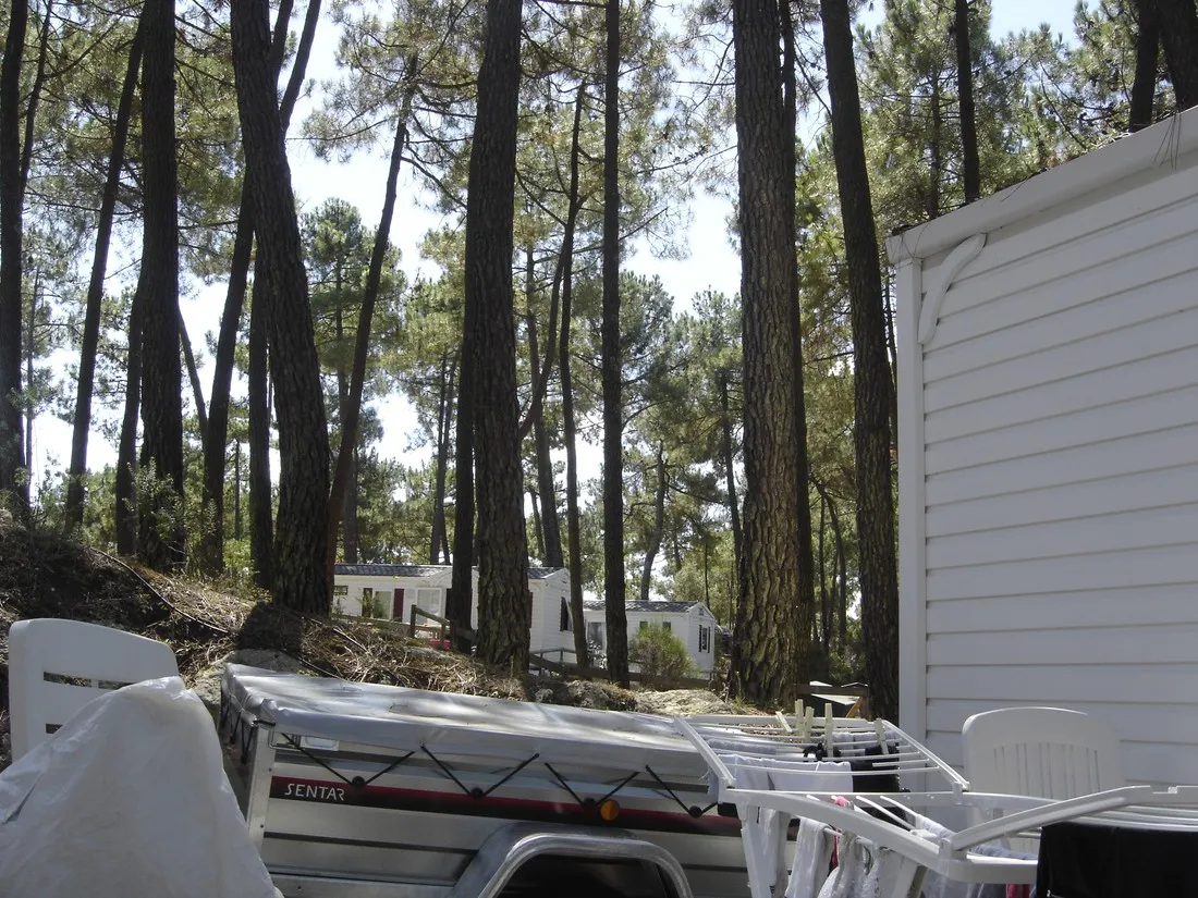 bonne-anse-chalets-les-mathes-la-palmyre-poitou-charentes-gbepg