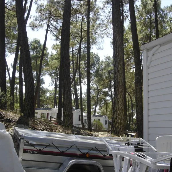 bonne-anse-chalets-les-mathes-la-palmyre-poitou-charentes-gbepg