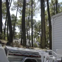bonne-anse-chalets-les-mathes-la-palmyre-poitou-charentes-gbepg