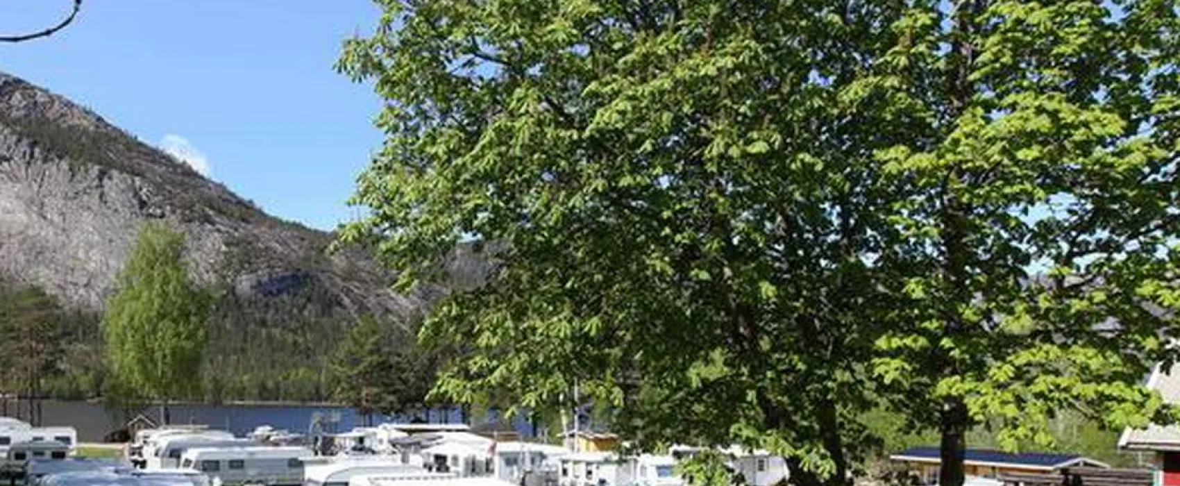 Saga Camping