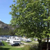 Saga Camping