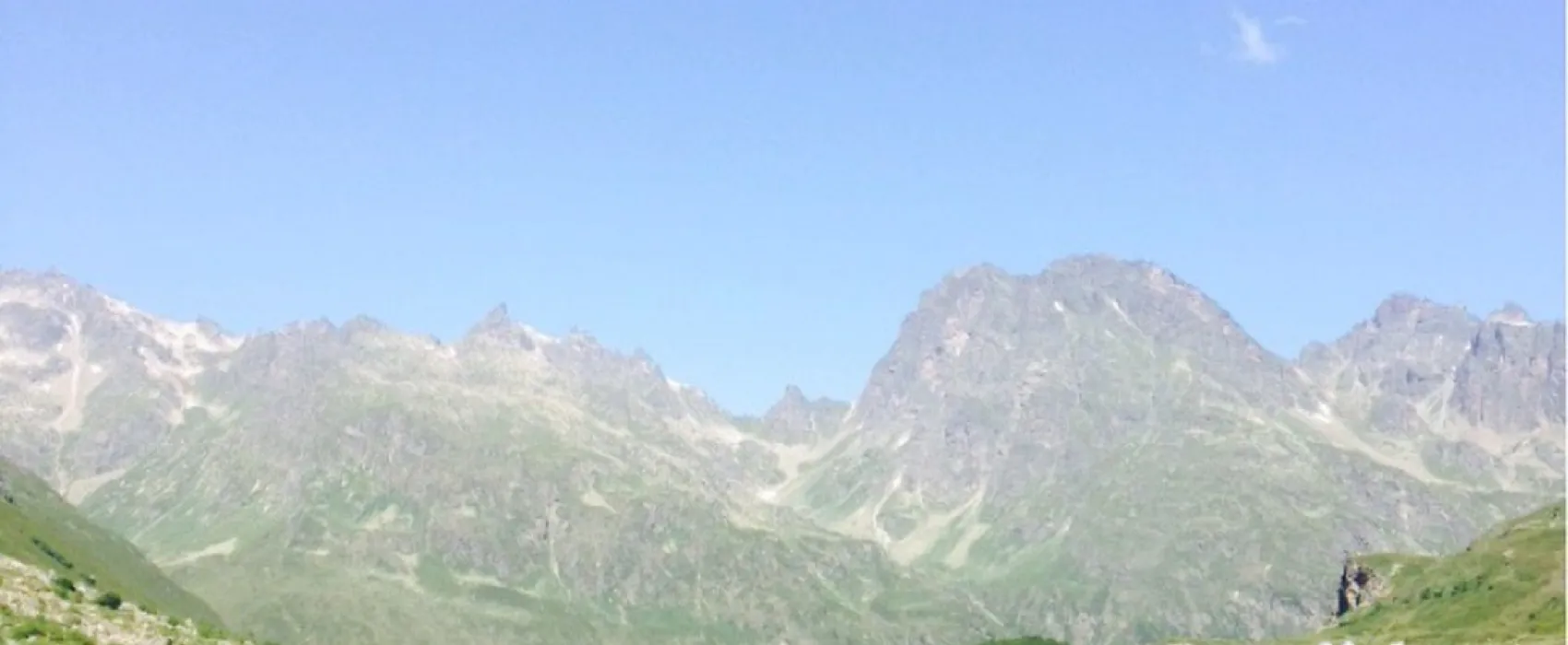 Nova