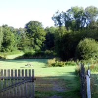 les-genets-dor-bannalec-nf57p