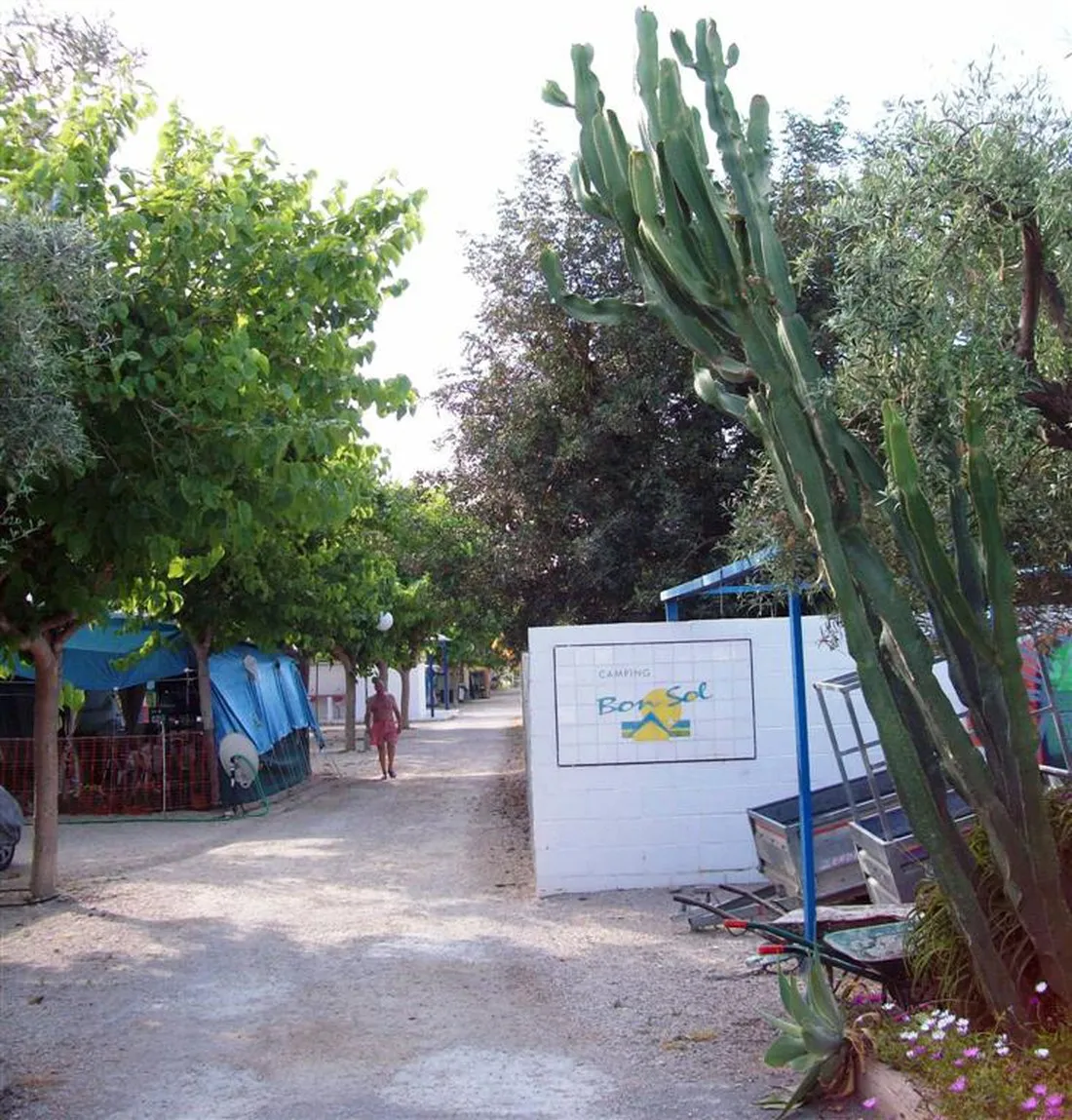 bon-sol-el-campello-znrdk