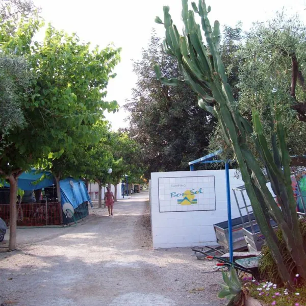 bon-sol-el-campello-znrdk