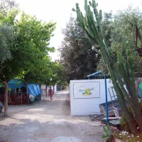 bon-sol-el-campello-znrdk