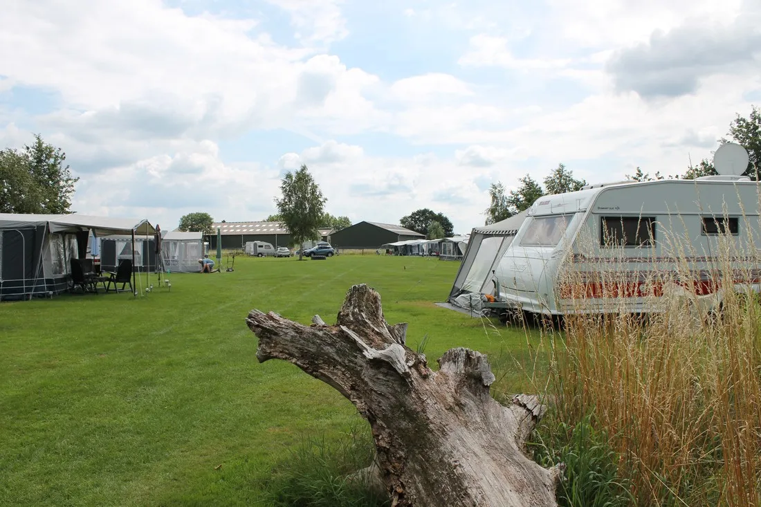 t-schouwke-wouwse-plantage-dktj9