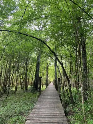 suwannee-river-hideaway-campground-old-town-kkqqm