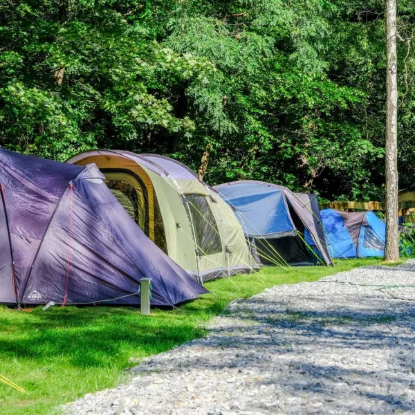 caravan-und-wohnmobilstellplatz-am-bilzbad-in-radebeul-bei-dresden-radebeul-bei-dresden-tyn2k