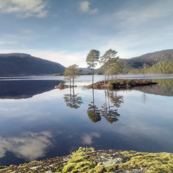 Telemark Camping