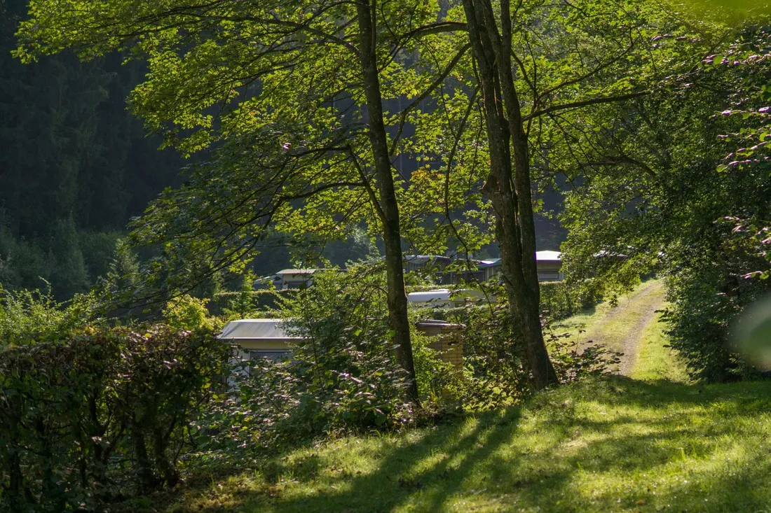 wildbach-ex-hellenthal-hellenthal-fanhx