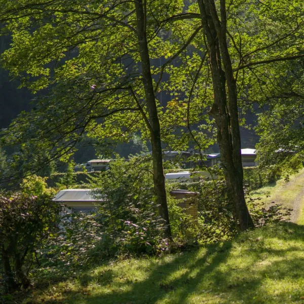 wildbach-ex-hellenthal-hellenthal-fanhx