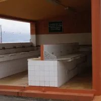a-vouga-louro-3c5vr