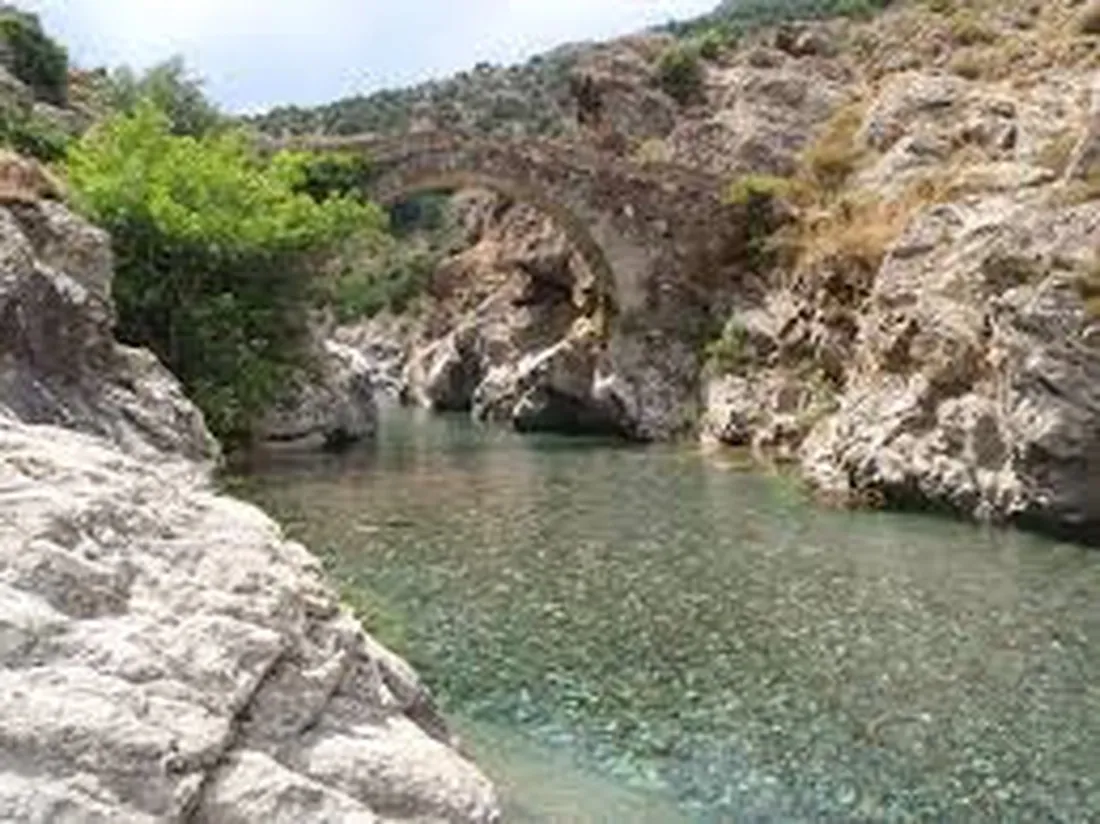 e-canicce-moltifao-9gwuy