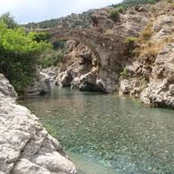 e-canicce-moltifao-9gwuy