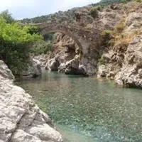 e-canicce-moltifao-9gwuy