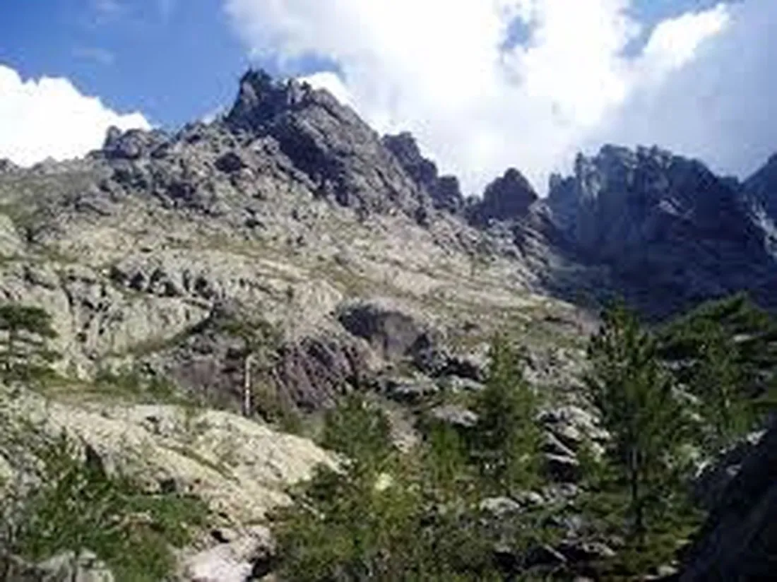 e-canicce-moltifao-tn85e