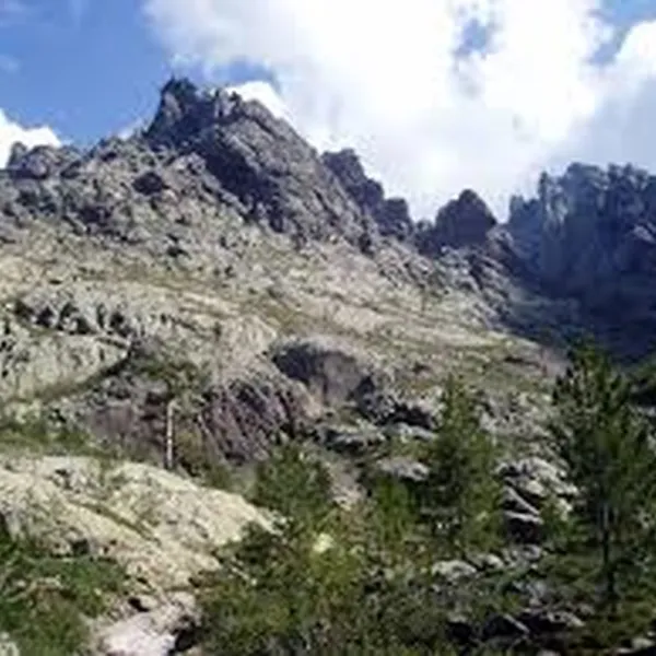 e-canicce-moltifao-tn85e