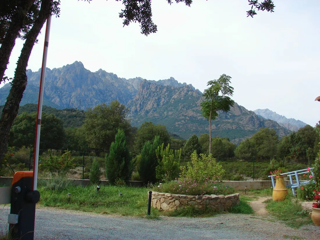 e-canicce-moltifao-x3w4c