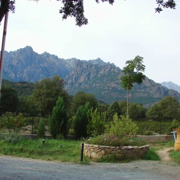 e-canicce-moltifao-x3w4c