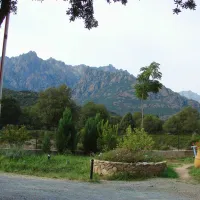 e-canicce-moltifao-x3w4c