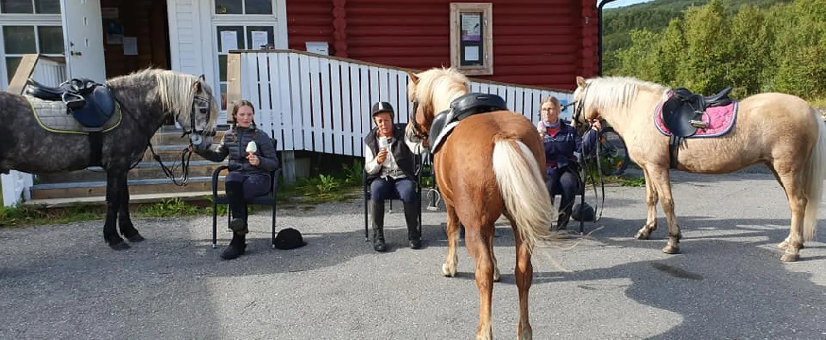 Øse Camping   