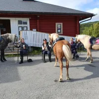 ose-camping-gratangen-f7hdm