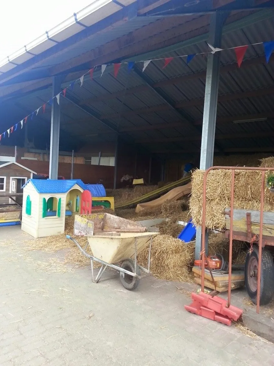 de-weerds-hertenboerderij-in-nijbroek-voorst-bij-zutphen-996ho