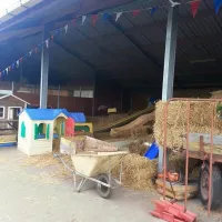 de-weerds-hertenboerderij-in-nijbroek-voorst-bij-zutphen-996ho