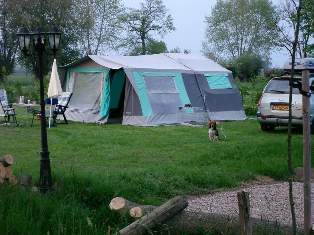 de-weerds-hertenboerderij-in-nijbroek-voorst-bij-zutphen-alggo