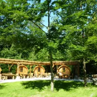 waldcamping-hollenbacher-see-mulfingen-hollenbach-twoiz