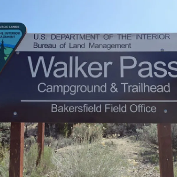 walker-pass-campground-onyx-t1h1n