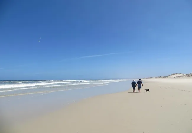 west-coast-luxury-tents-between-dwarskersbos-and-elands-bay-suwiy
