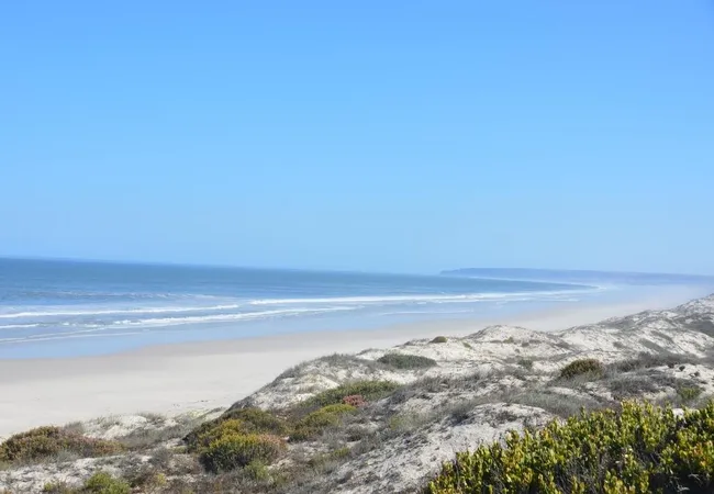 west-coast-luxury-tents-between-dwarskersbos-and-elands-bay-wk0ul