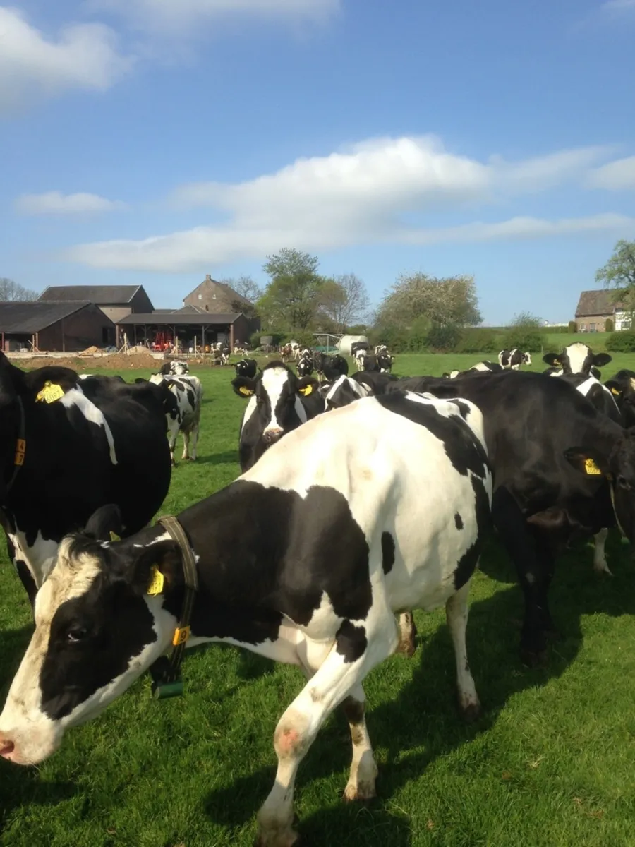boerderijcamping-schrouff-vijlen-9g1rs