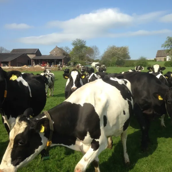 boerderijcamping-schrouff-vijlen-9g1rs