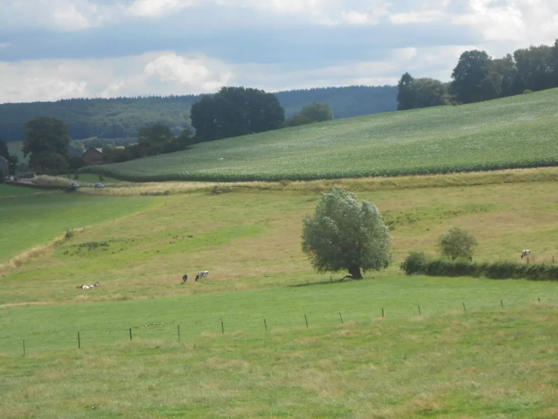 boerderijcamping-schrouff-vijlen-xiskd
