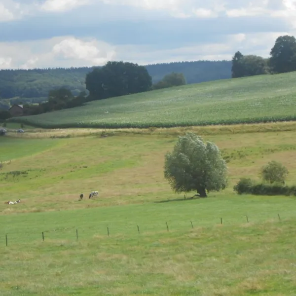 boerderijcamping-schrouff-vijlen-xiskd