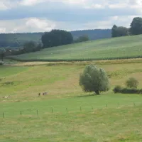 boerderijcamping-schrouff-vijlen-xiskd