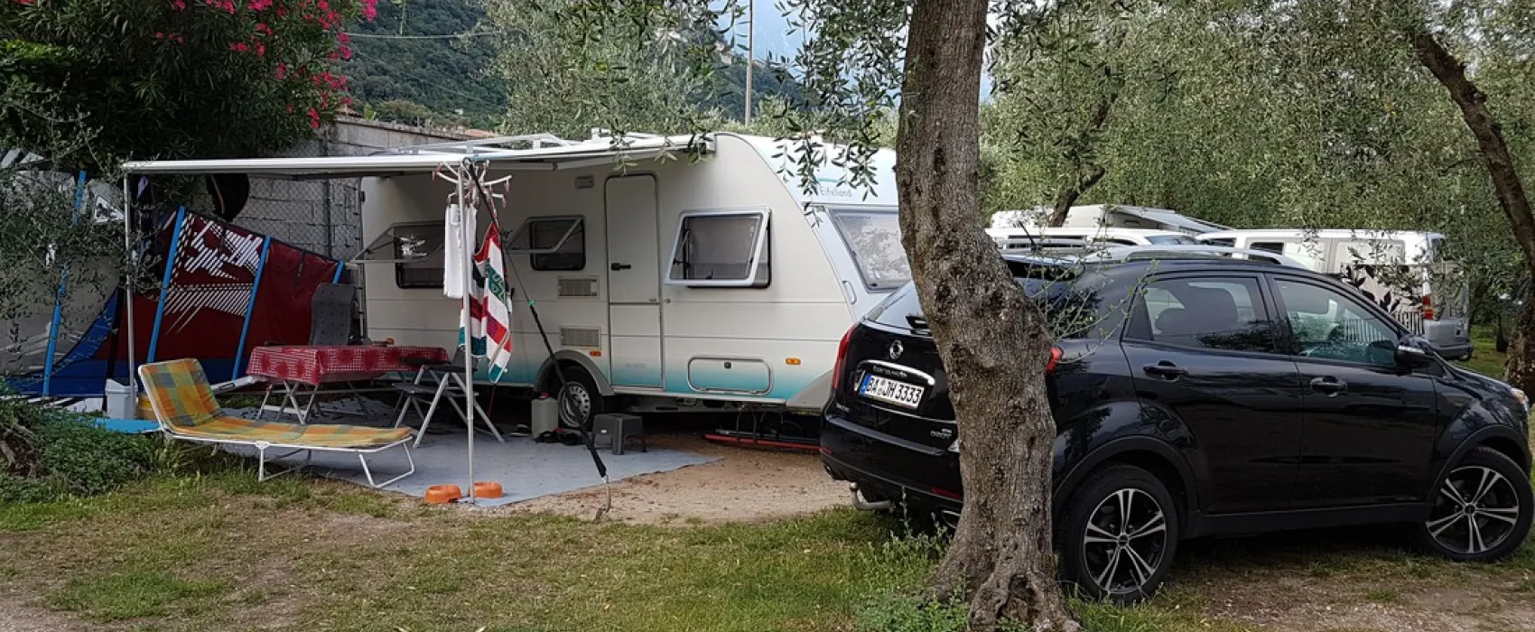Campagnola