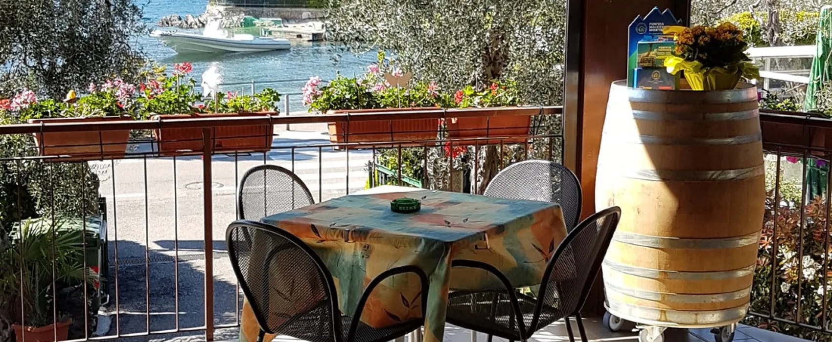 Campagnola