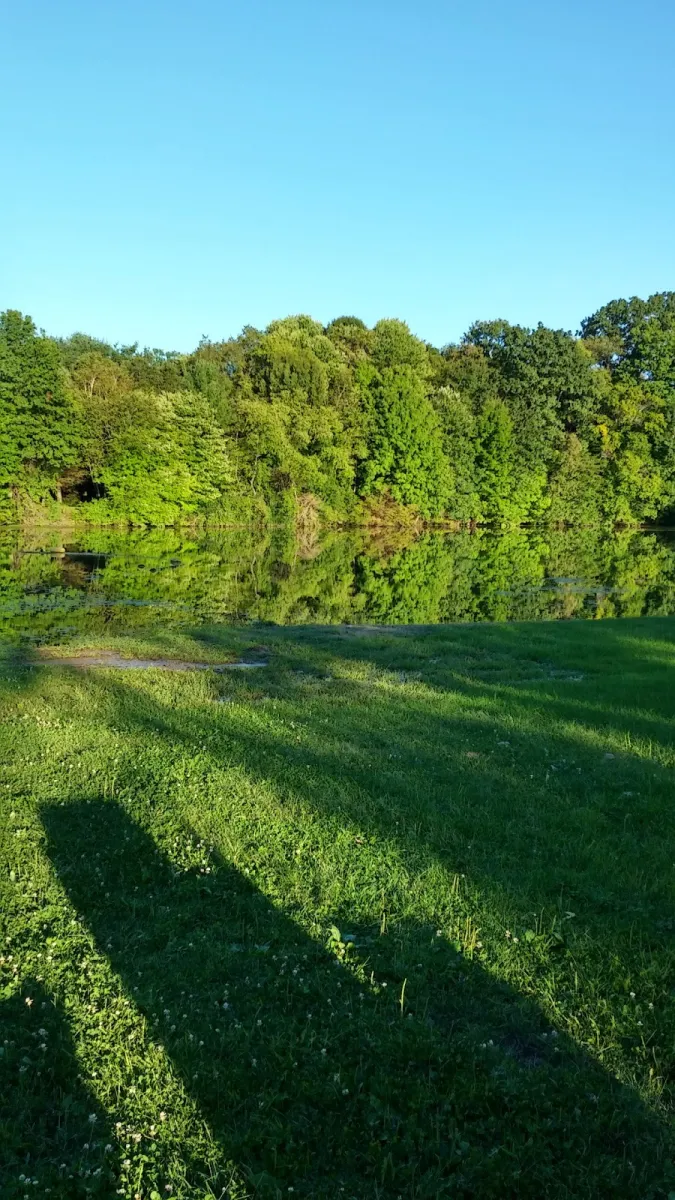 chestnut-ridge-park-hubbard-tyuqy