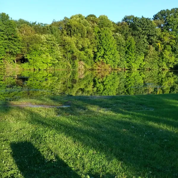 chestnut-ridge-park-hubbard-tyuqy