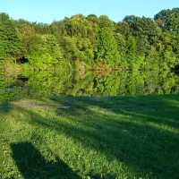 Chestnut Ridge Park