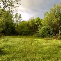 pachamama-farmstay-ukropci-dopwd