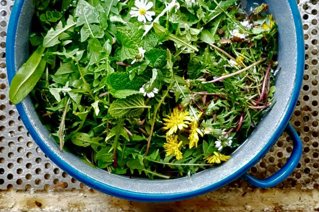 pachamama-farmstay-ukropci-nhocd